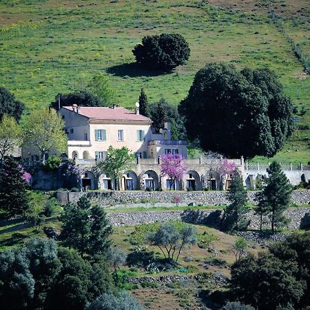 Bed and Breakfast La Ventulella Moltifao Экстерьер фото