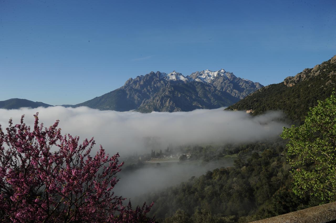 Bed and Breakfast La Ventulella Moltifao Экстерьер фото